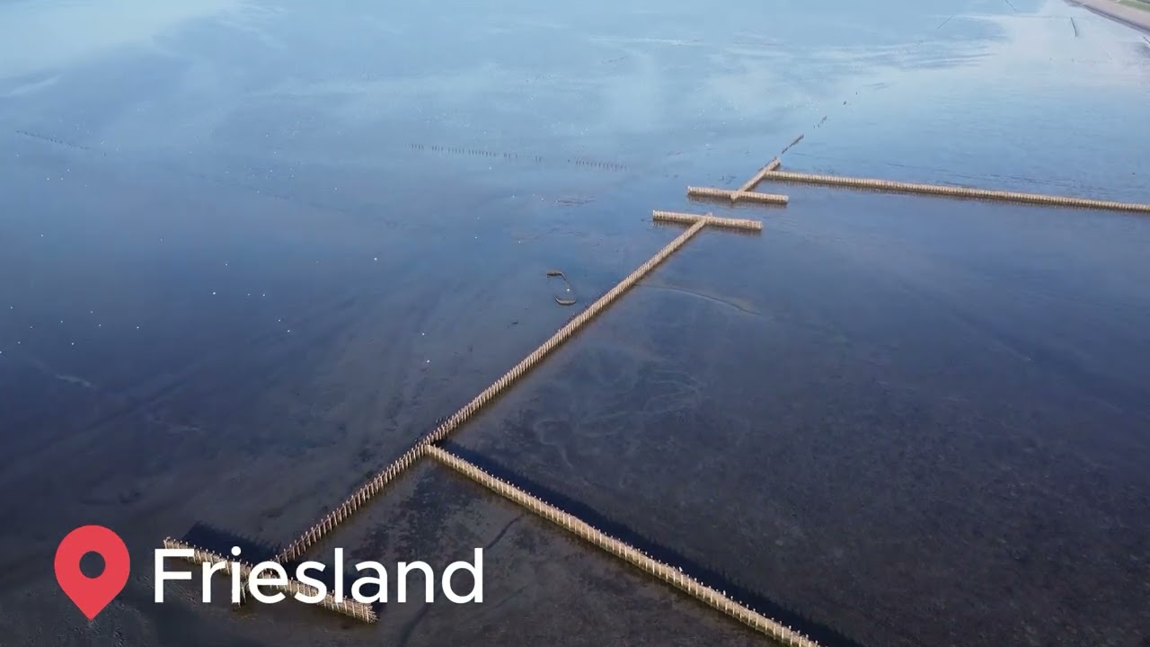 Het Schip van Wierum