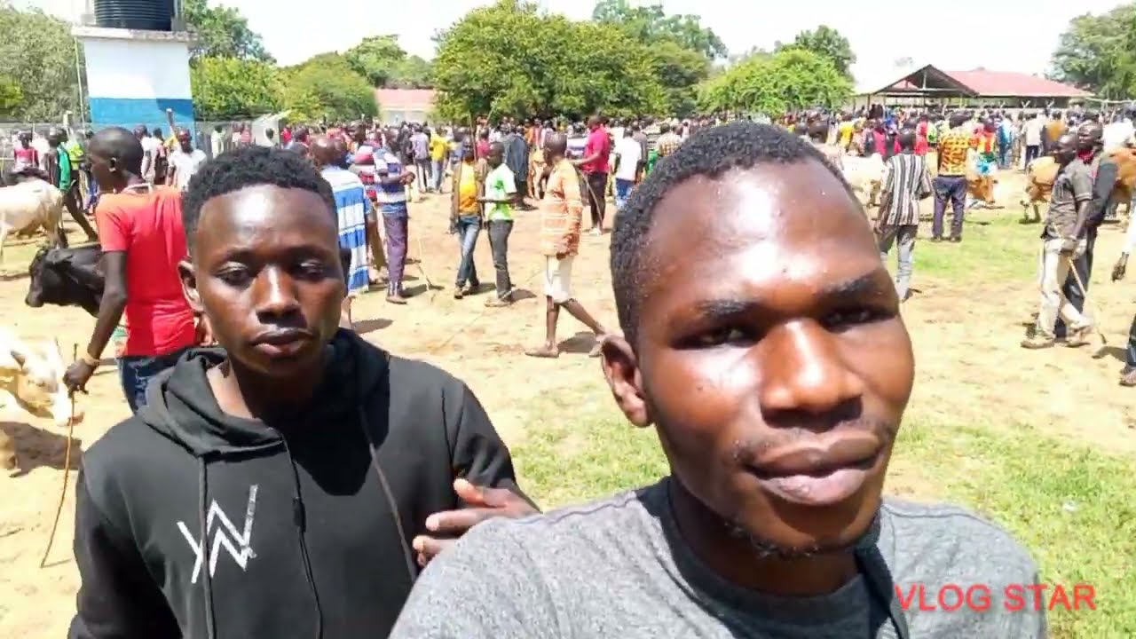 this is how African livestock market look... here in uganda