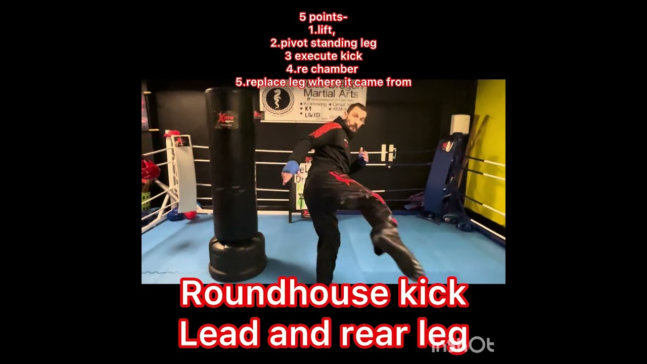 Basic kicking techniques, kicks and combos