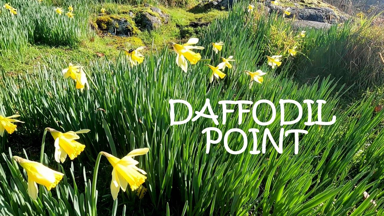 Daffodil Point Hiking Trail - Virtual Hike - Burgoyne Bay Saltspring Island, BC