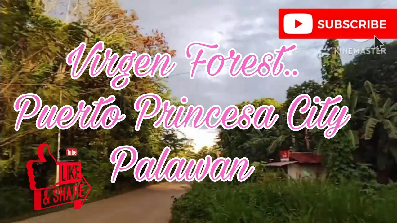 Palawan Escapade/ Roaming around at baranggay bancao Puerto Princesa City Palawan