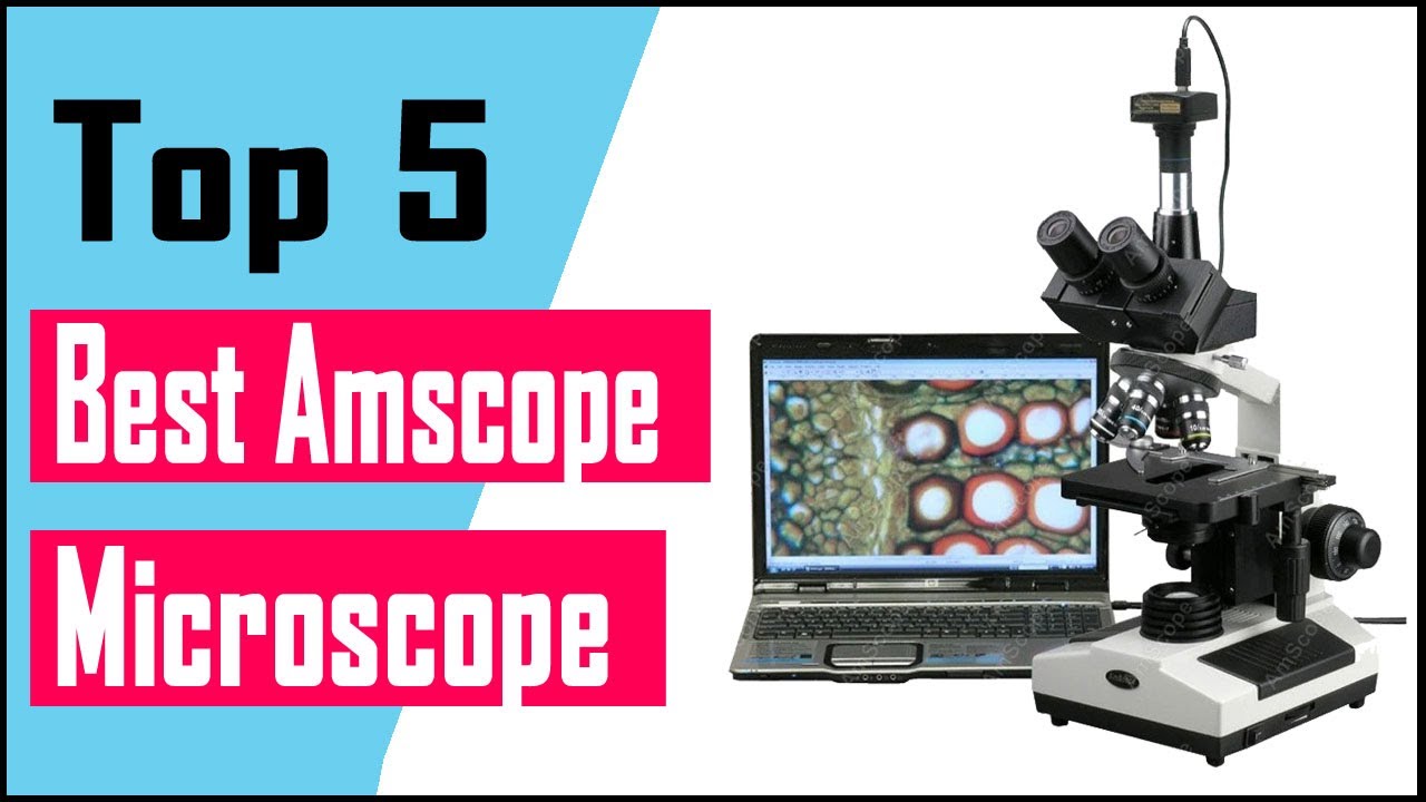 Top 5 Best Amscope Microscope Review In 2021
