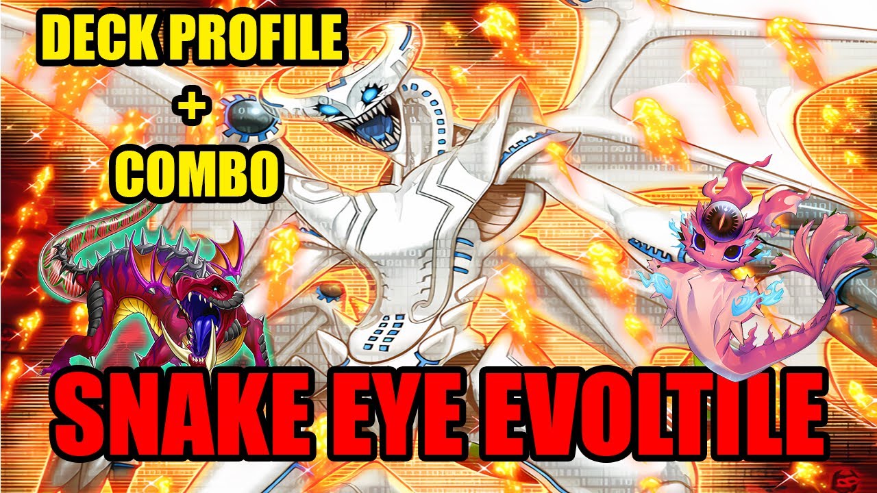 Evoltile Snake Eye Yu-Gi-Oh Deck Profile + Combo | November 2024 |