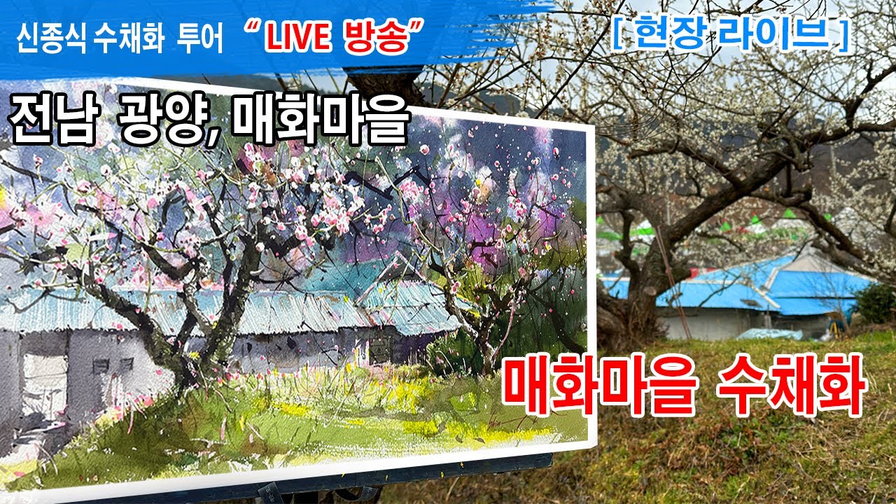 전남 광양, 매화마을 수채화 그리기