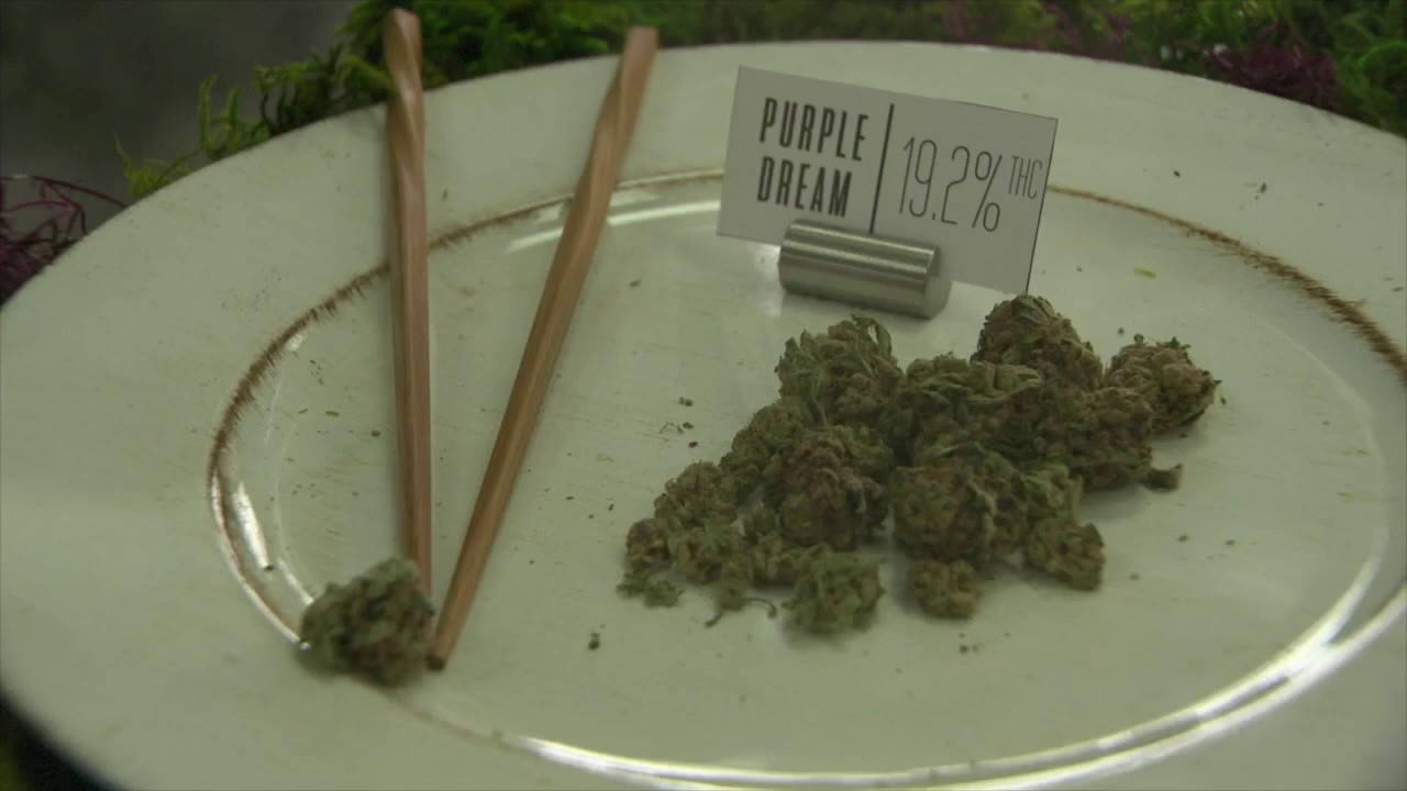 Marijuana 101: College business course first of it's kind