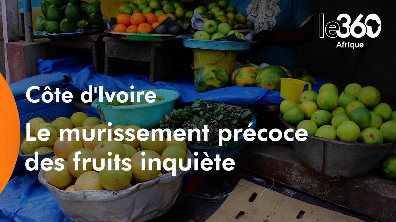 Murissement précoce des fruits: en Côte d’Ivoire, l’usage de produits chimiques inquiète
