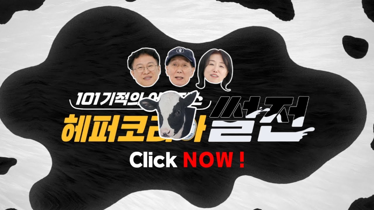 101 기적의 어벤져스🦸 | 헤퍼코리아 썰전 1부