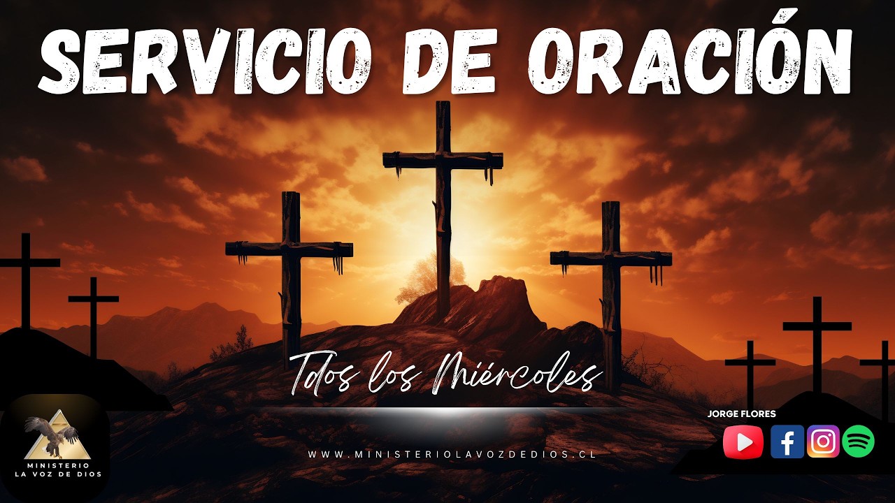 Reunion Miercoles 04-02-2026