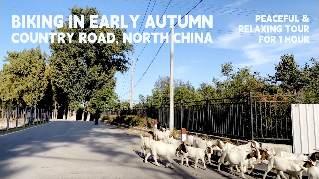 Riding in Autumn: 4k GoPro12 Bike Adventure in Northern Asia | Beijing China | Relaxing & Peaceful