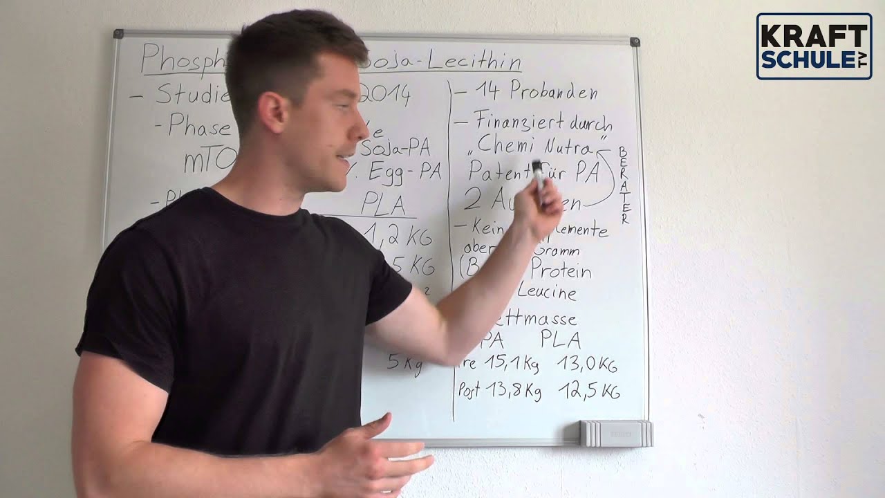 Phosphatidsäure - Kritische Analyse der Studie - Mehr Muskelaufbau durch Soja-Lecithin-Granulat