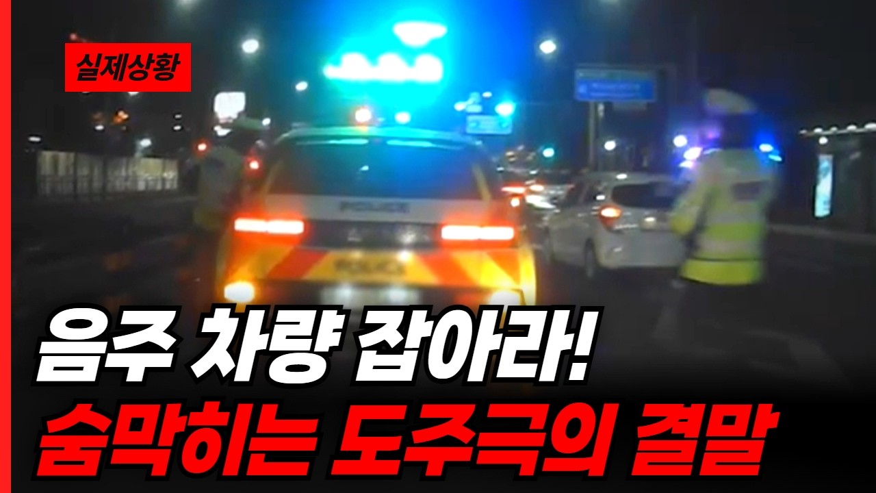 경찰관 보자 바로 도망? 음주차량 잡아라!! 숨막히는 도주극의 결말 🚨