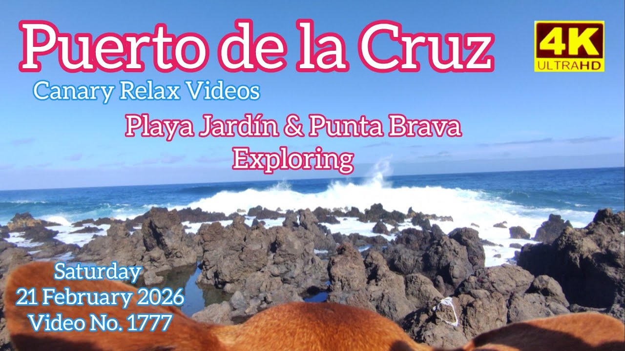 Tenerife 🏝️ Puerto de la Cruz Playa Jardín & Punta Brava Exploring 