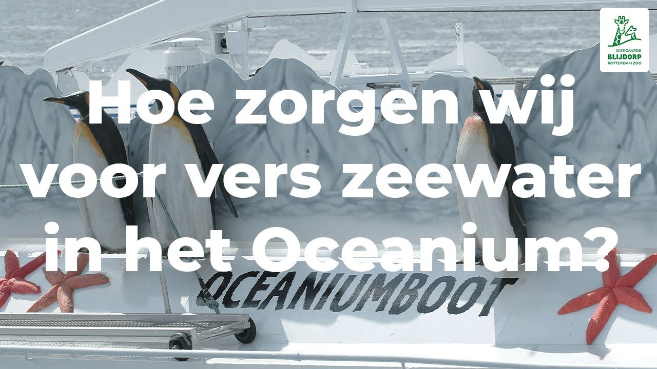 Hoe zorgen wij voor vers zeewater in het Oceanium?