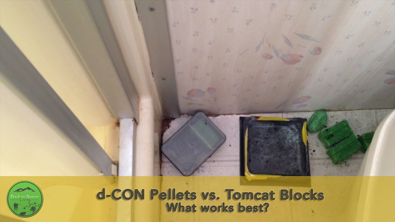 d-CON Pellets vs Tomcat Blocks - What works best?