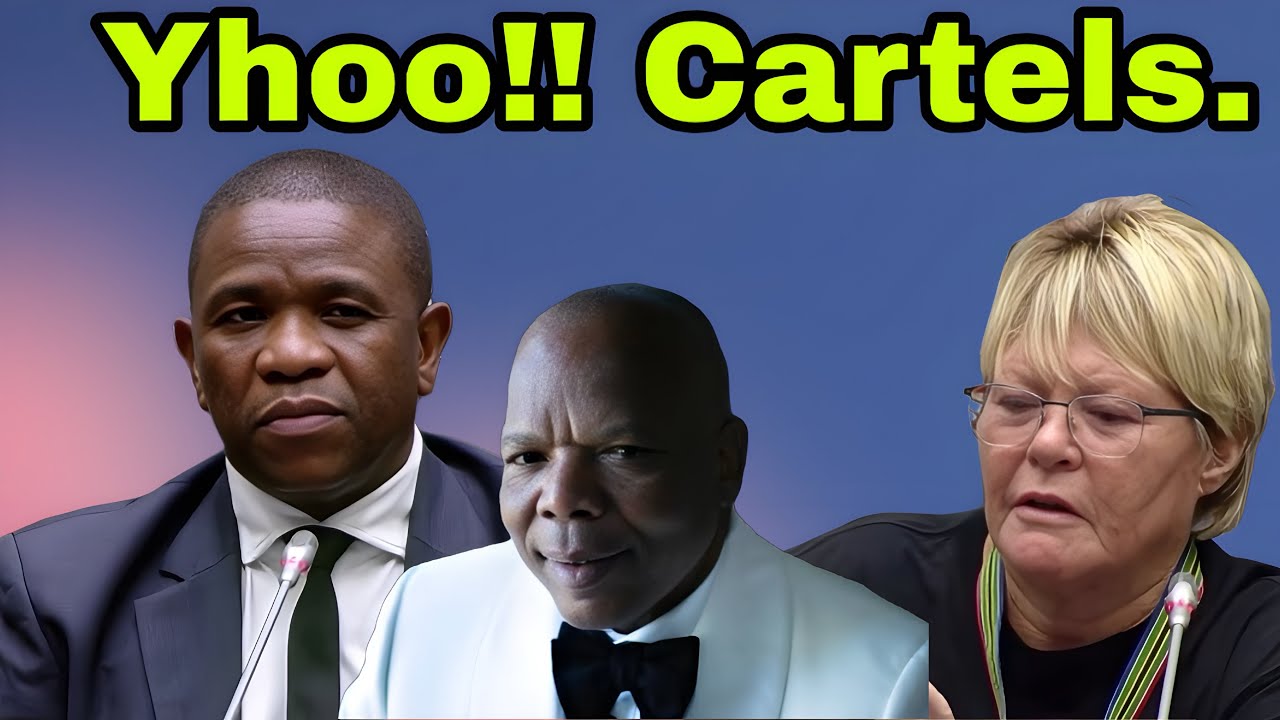 General Mkhwanazi Shock Glynnis Breytenbach about Cartels controlling Politicians.