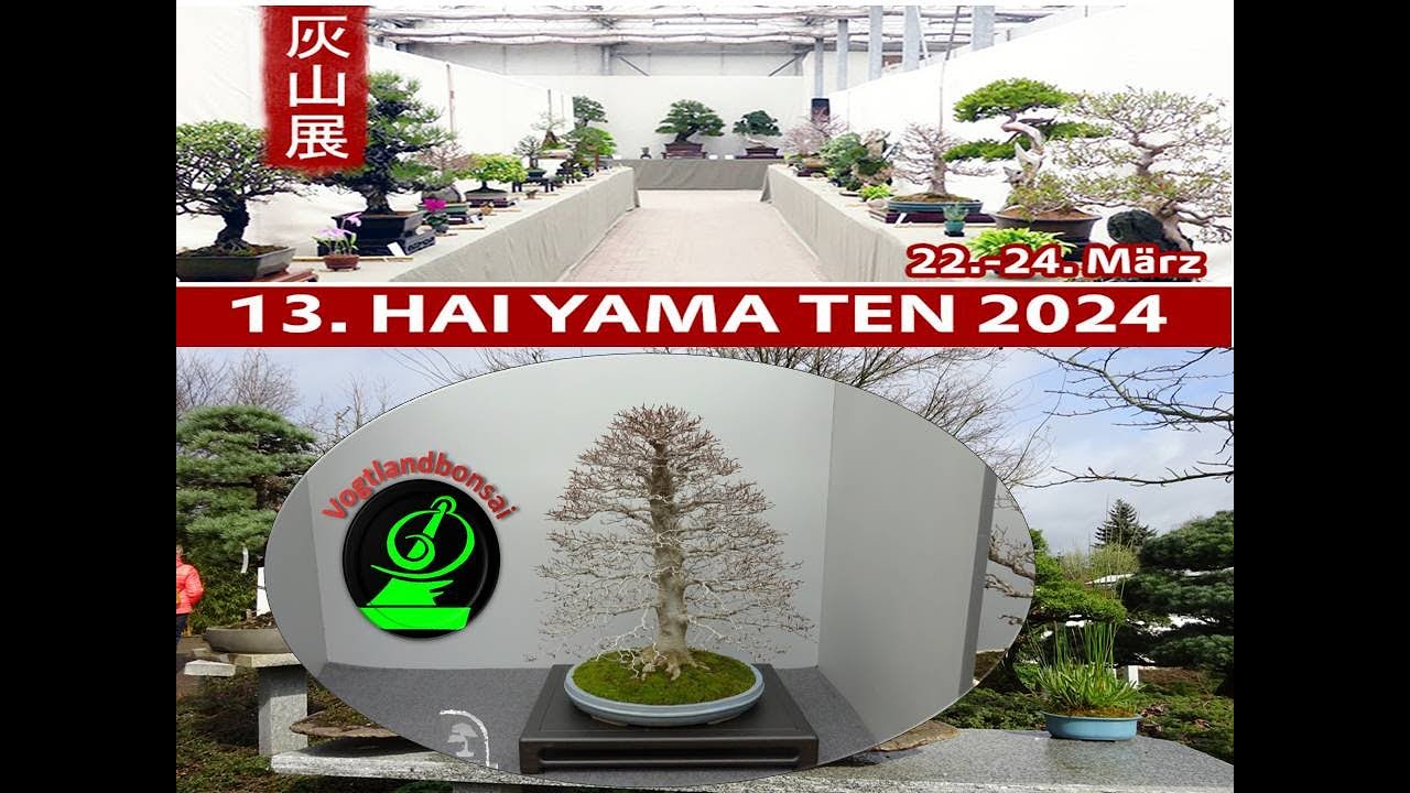 Die Bäume der Hai Yama Ten 2024