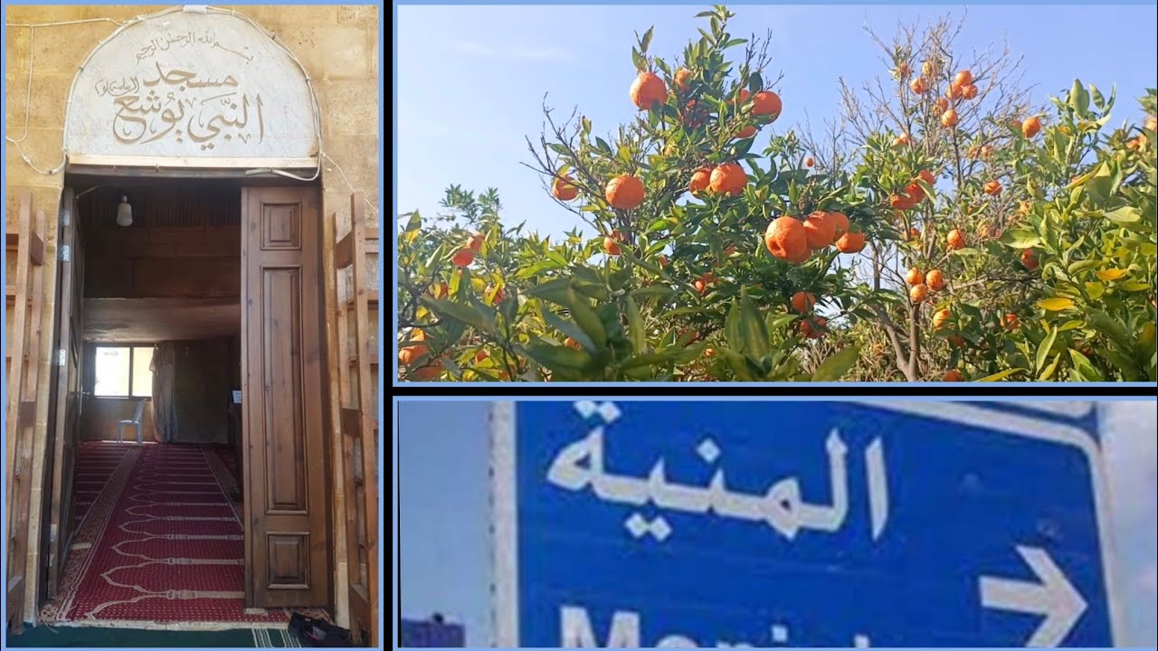 المنية شمال لبنان... مشوار مليء بالمفاجآت ويوم بين الطبيعة | One Beautiful Day in Minieh 🇱🇧