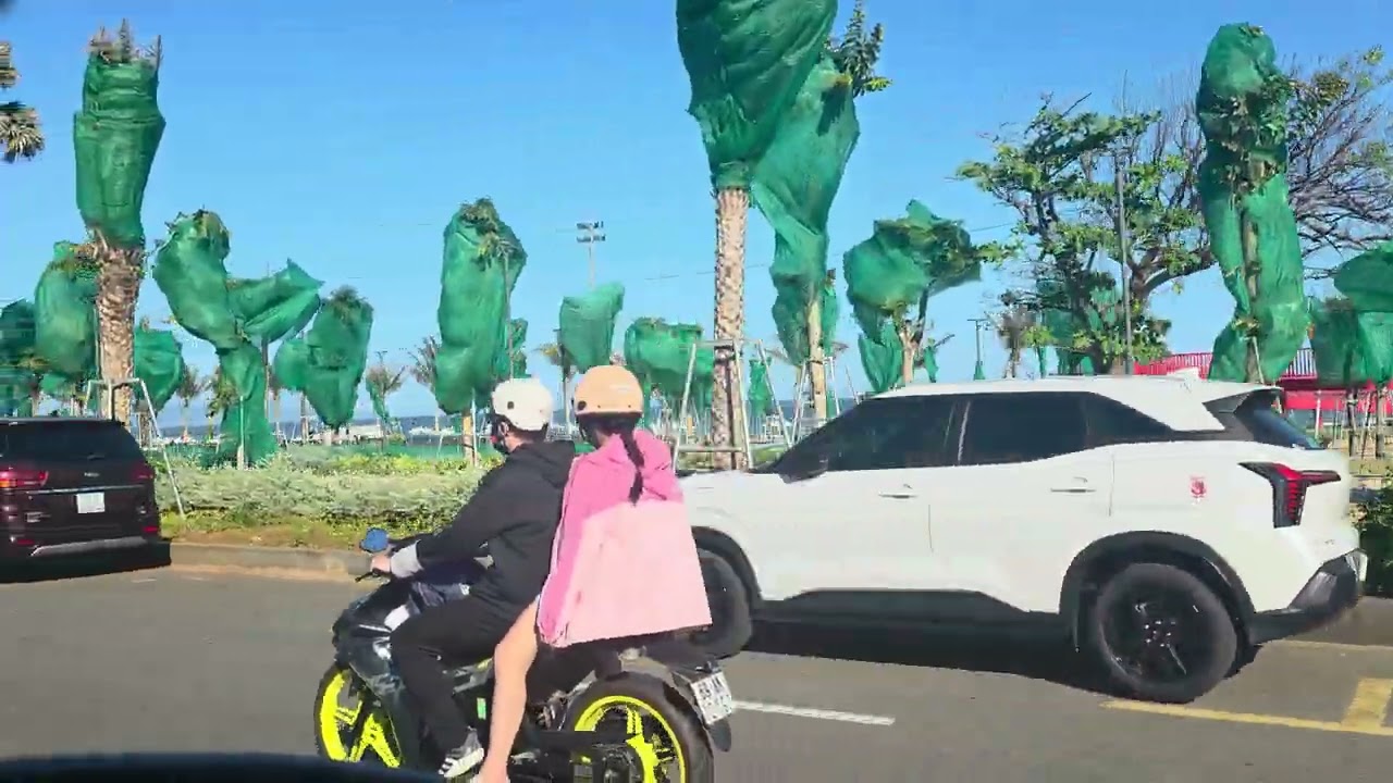 Tam thắng vũng tàu 