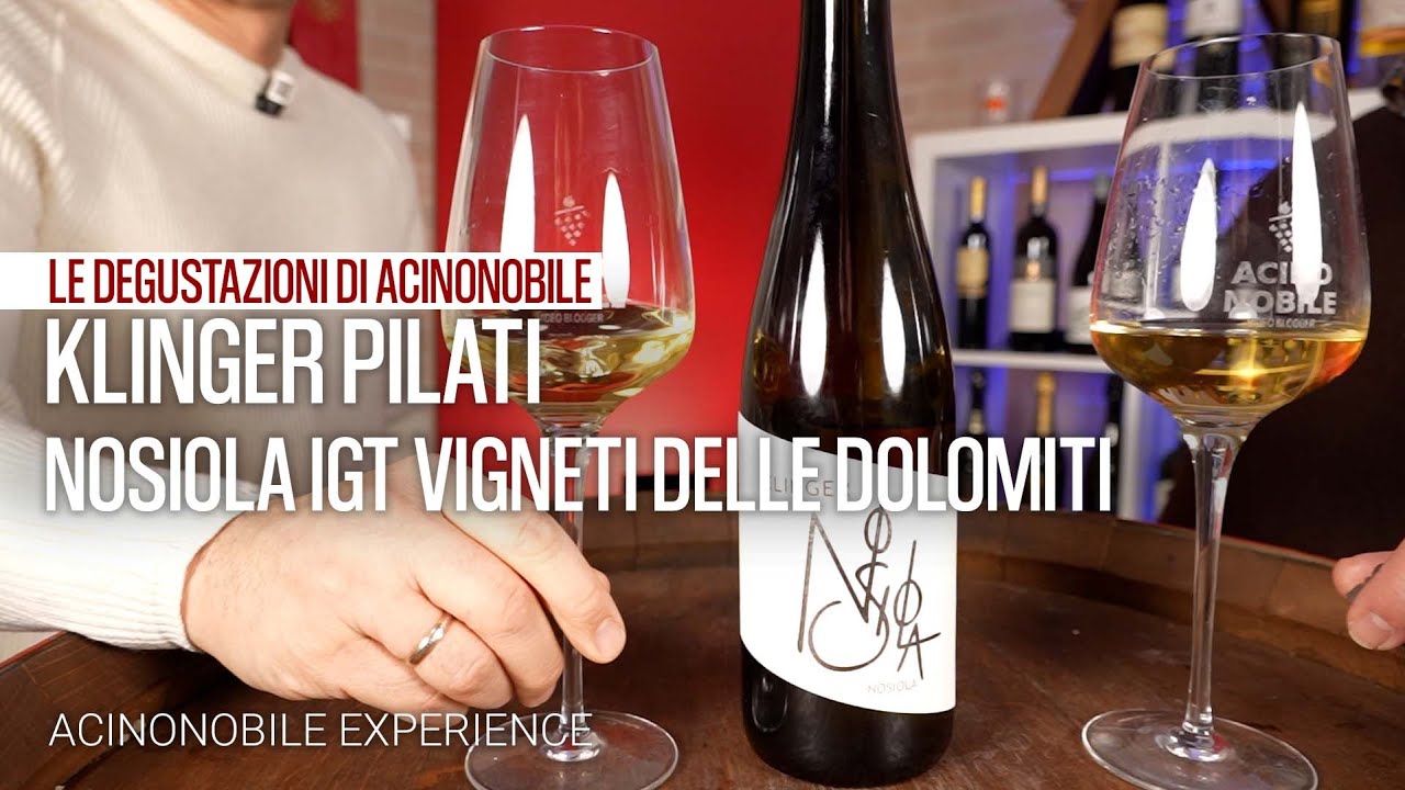 Klinger Pilati | Nosiola IGT Vigneti delle Dolomiti