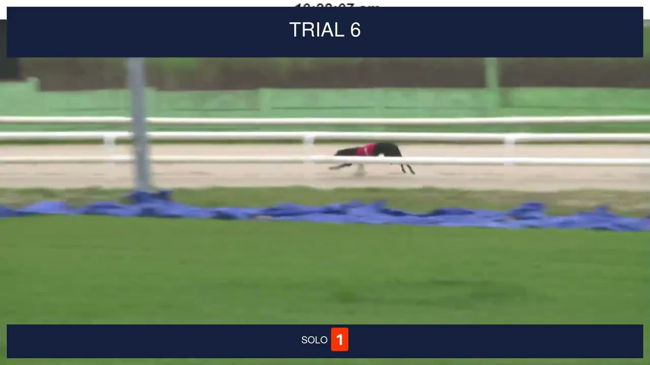 Nottingham Trials on 12th February 2026