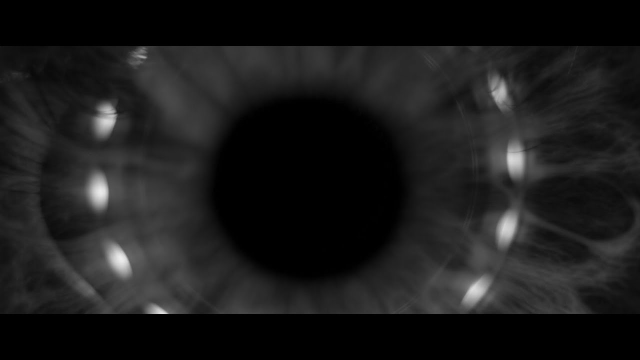 Laibach - We Are Millions And Millions Are One (Official video)