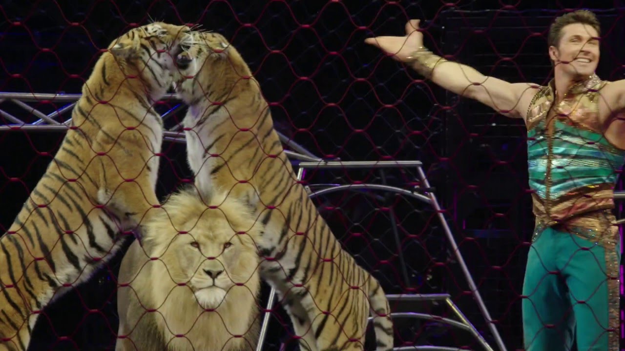 Alexander Lacey Big Cat Training - Pyramid
