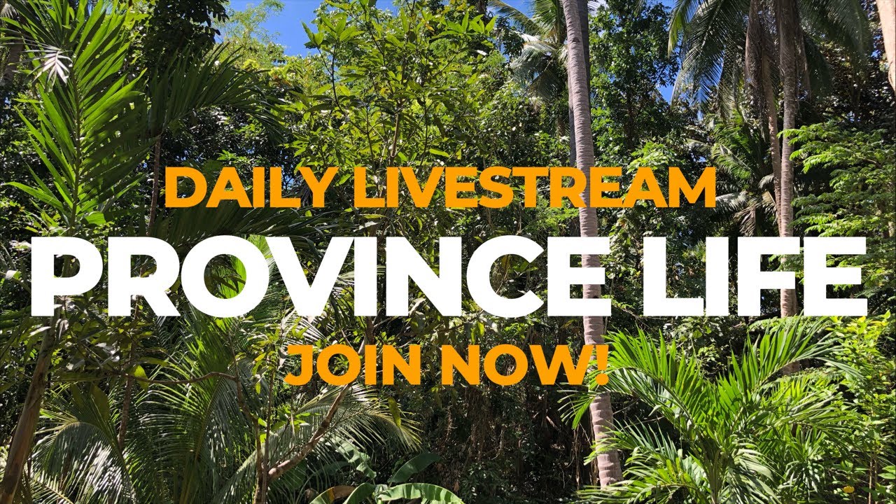 Tuesday Afternoon Live. Join Me.