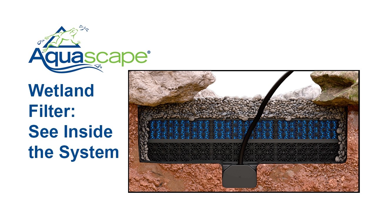 How the Aquascape Wetland Filter System Installs (Animated Overview)