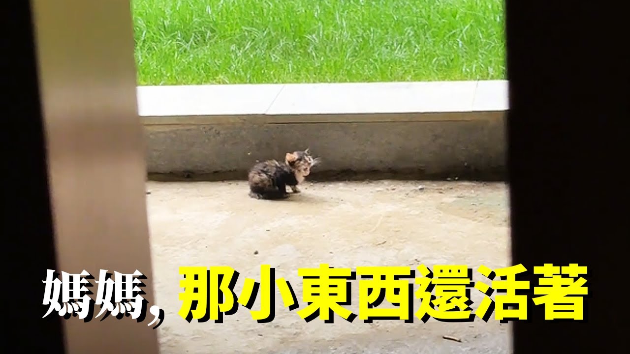 我以為她不行了，想給她最後的體面...