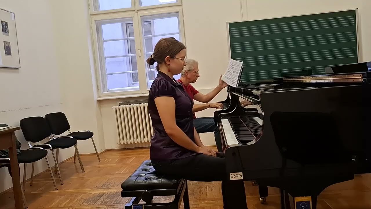 Milica Opacic - F. Mendelssohn - Concerto op. 25 no. 1, g-minor, 1st movement