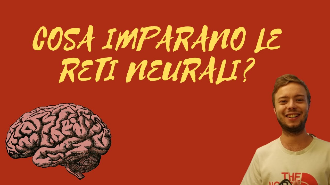 Funzione di costo - cosa vuol dire che una rete neurale impara?