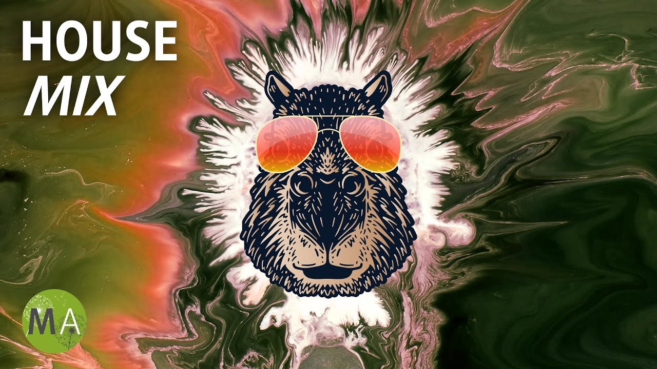 Upbeat Study Music Deep Focus House Mix (Capybara) - Isochronic Tones