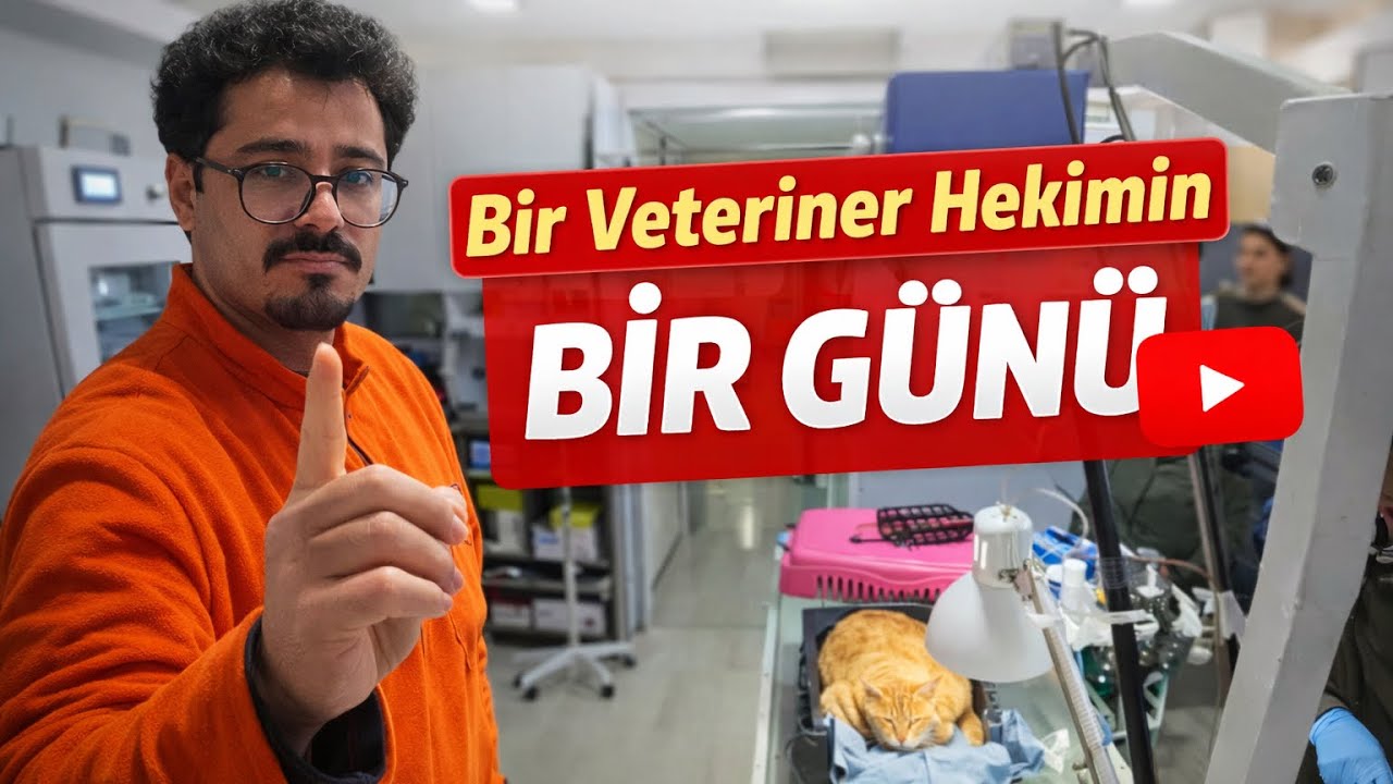 BİR VETERİNER HEKİMİN BİR GÜNÜ!!! (VLOG) #vet #vlog #veterinarian 