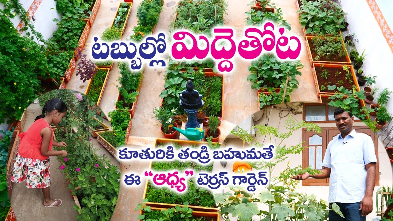 Terrace Garden in Fiber Tubs || A Father Gift to Daughter || Jeevan Reddy | Ghatkesar | Rytunestham