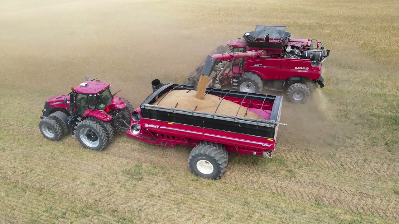 Jeff Paplow Harvesting cutting wheat in Mountain View Oklahoma 2021.