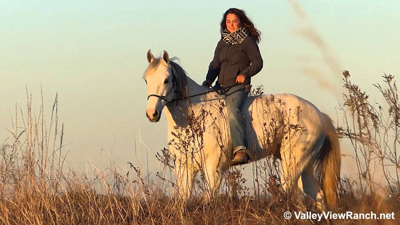 Mystery Moon Racer - trail riding bareback - Valley View Ranch