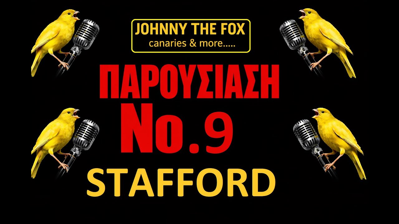 ΚΑΝΑΡΙΝΙ STAFFORD......ΠΑΡΟΥΣΙΑΣΗ Νο 9
