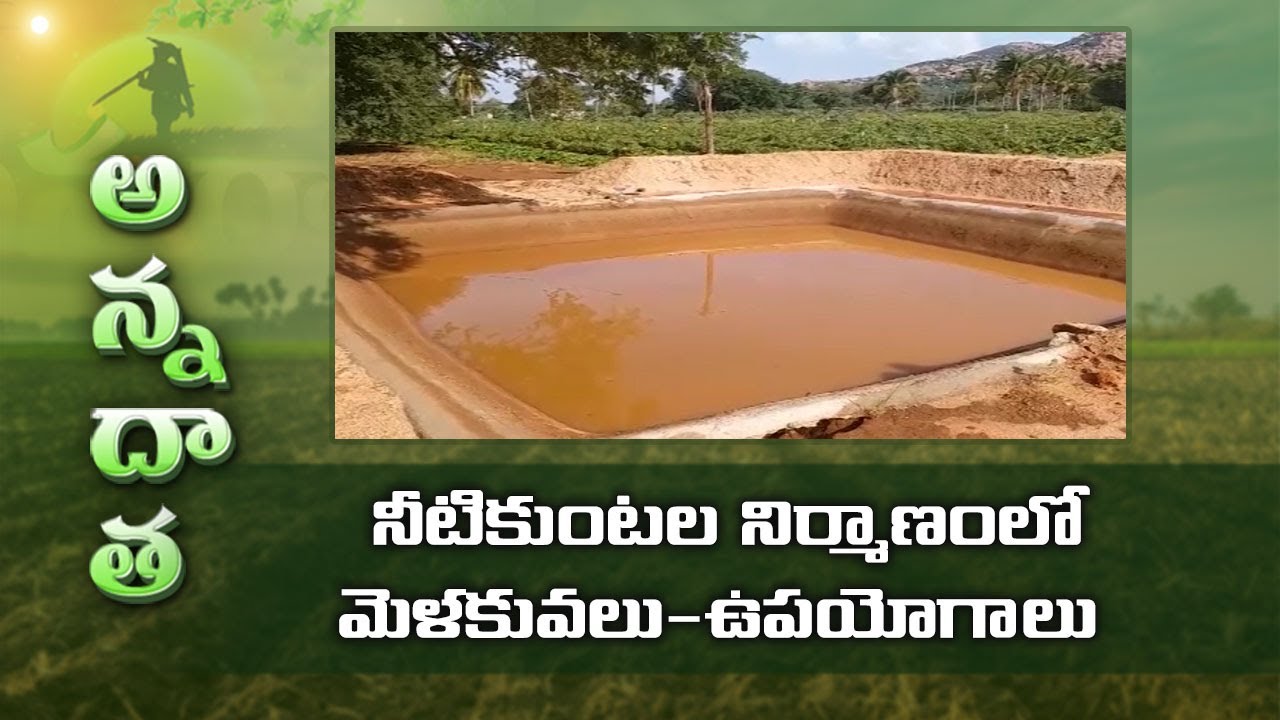 Farm Ponds Construction and Water Conservation Tips