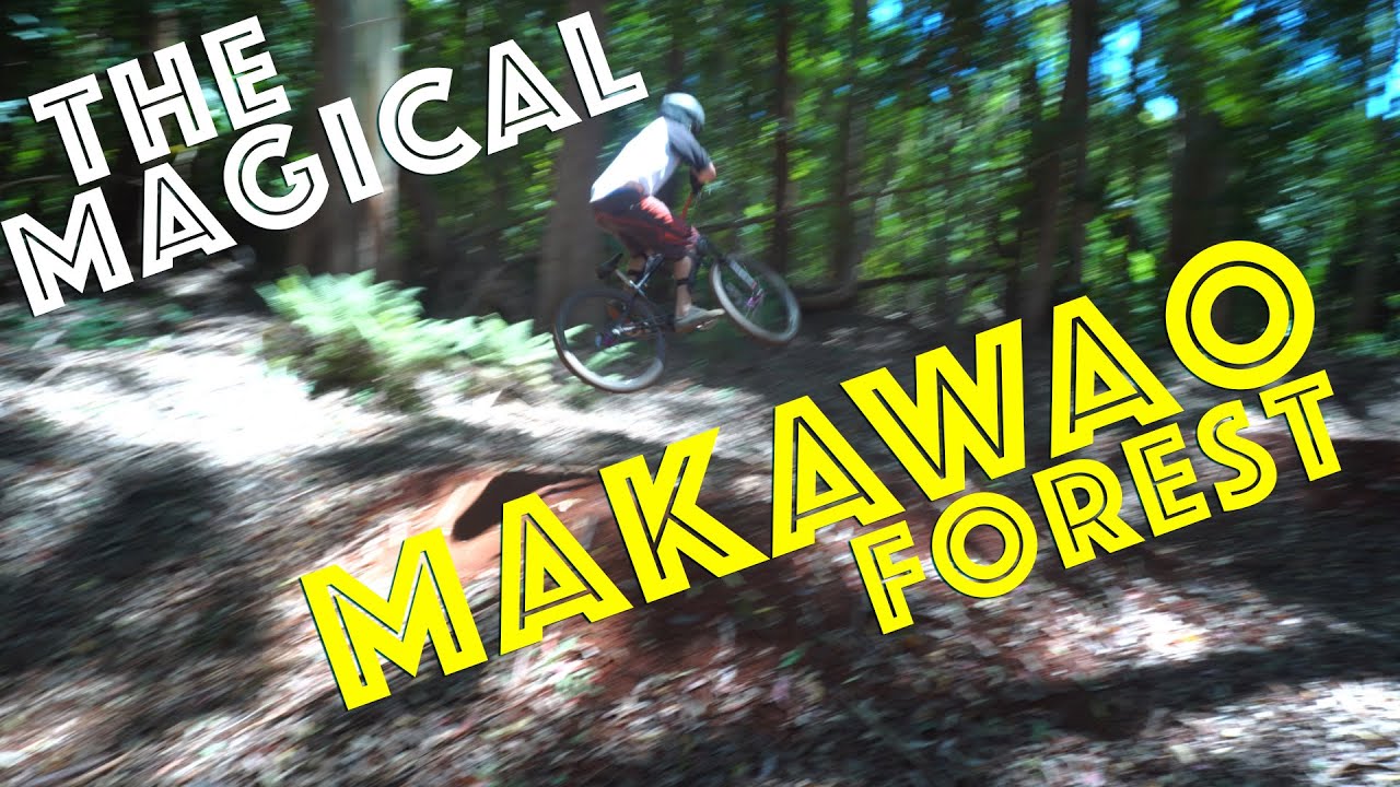 Best free things to do on Maui - Magical Makawao Forest (Mountain Biking Adventure)