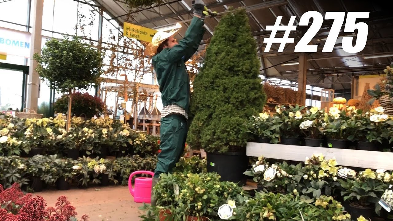 #275: Chaos in het Tuincentrum [OPDRACHT]
