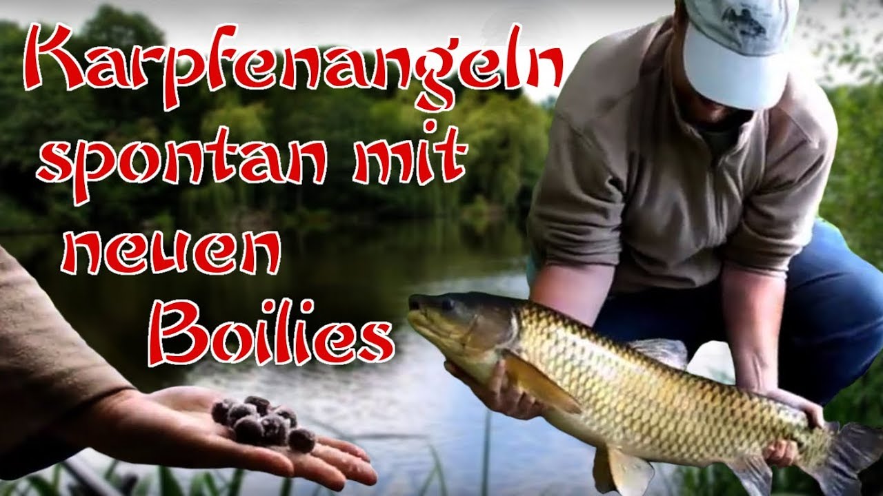 Karpfenangeln im Sommer ganz spontan! Graskarpfen auf dem neuen Boilie