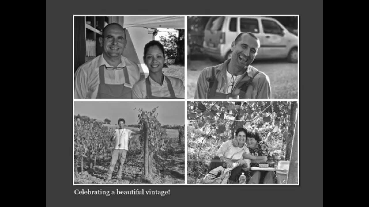 A day in the Vineyards
