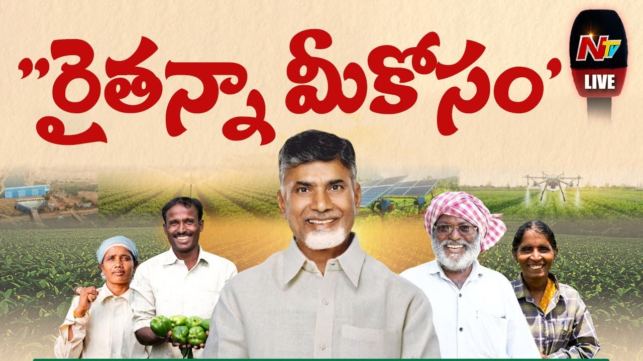 CM Chandrababu LIVE: 
