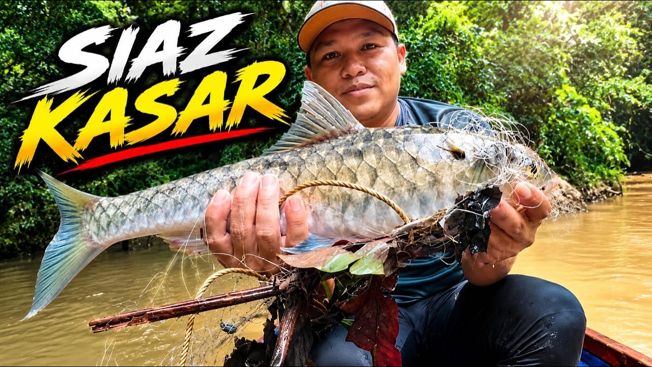 SYURGA LUBUK IKAN SEMAH SUPER-SUNGAI KAHAI PERBATASAN MALAYSIA/INDONESIA