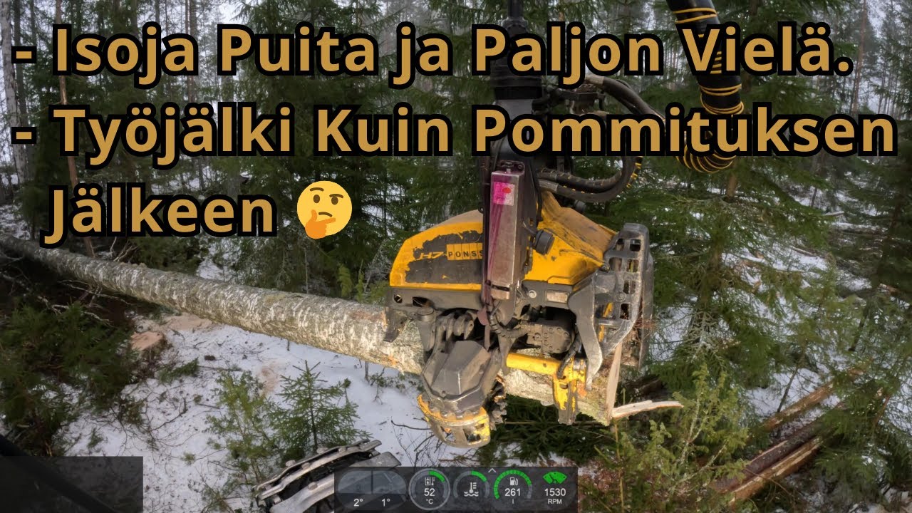 Vaihteeksi Ylispuiden Poistohakkuuta ja Olikin Vanhoja Oksaisia Puita.  Ponsse Scorpion K H7 AC FC