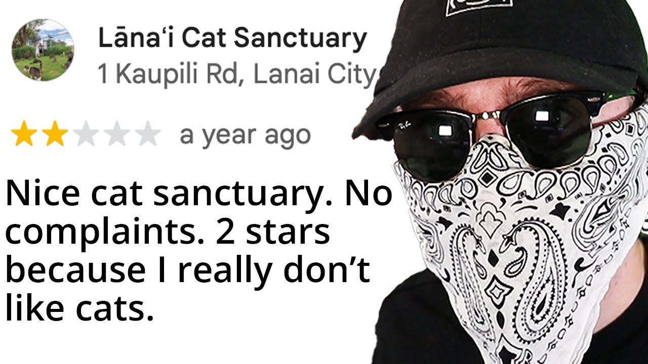 Online Reviews are Genuinely Full of Insane People