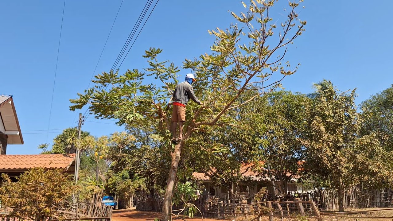 เข้าบ้านทำความสะอาดเดินทีละหน้อย