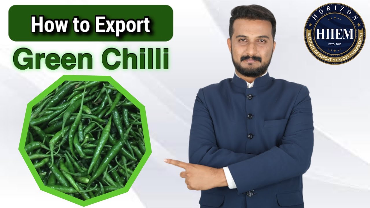 How to Export G4 Green Chilli, Exported by Sagar Agravat