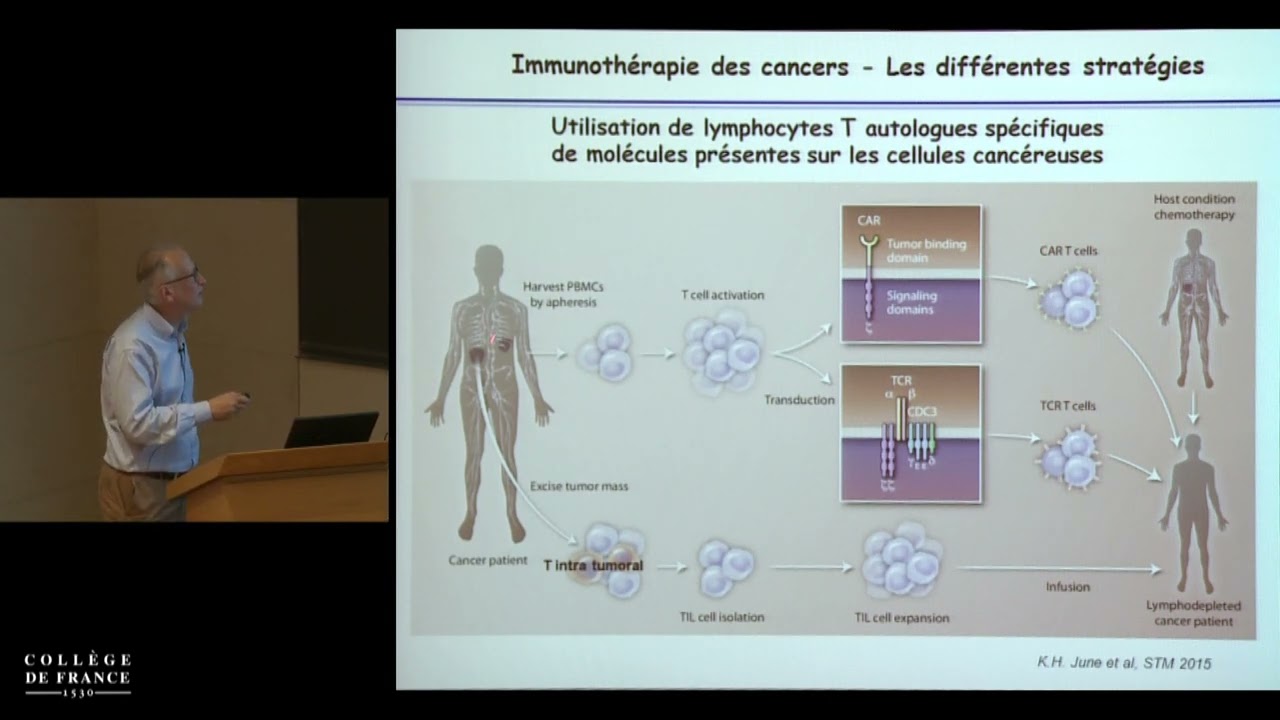Biothérapies, thérapies cellulaire et génique (5) - Alain Fischer (2014-2015)