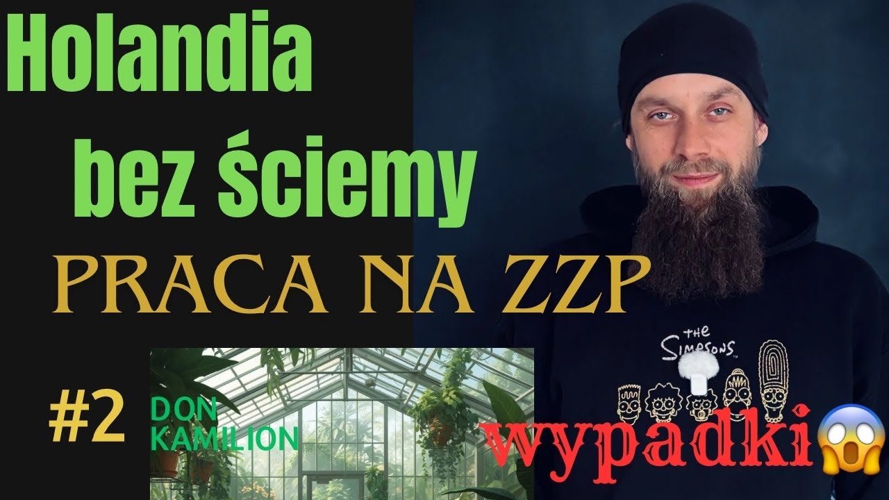 Holandia bez ściemy: Własna firma na ZZP, jak to działa ? wypadki w pracy